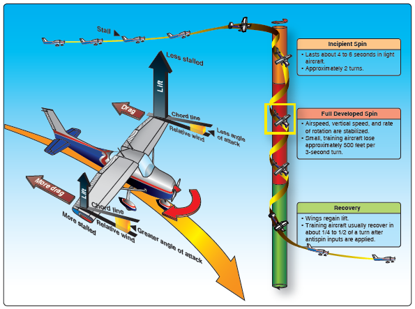 Figure 7: Spin entry and recovery.Source: United States Federal Aviation Authority publication FAA-H-8083-3A– Spin entry and recovery