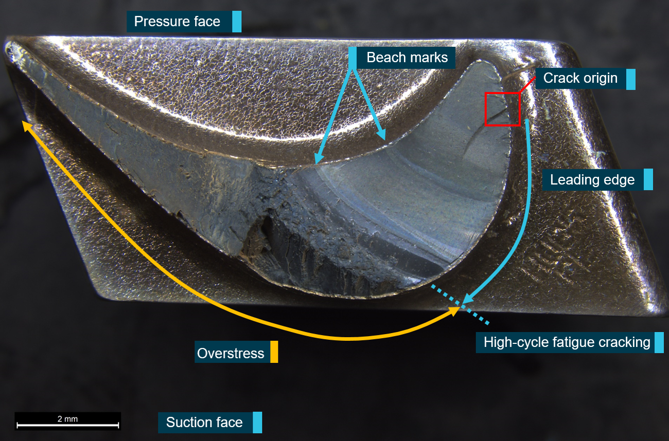 Figure 11: High-magnification optical image of the fractured blade showing that cracking initiated at the leading edge on the suction face, progressing through approximately 50 per cent of the cross-section prior to overstress fracture and release of the aerofoil.<br />
Image source: ATSB