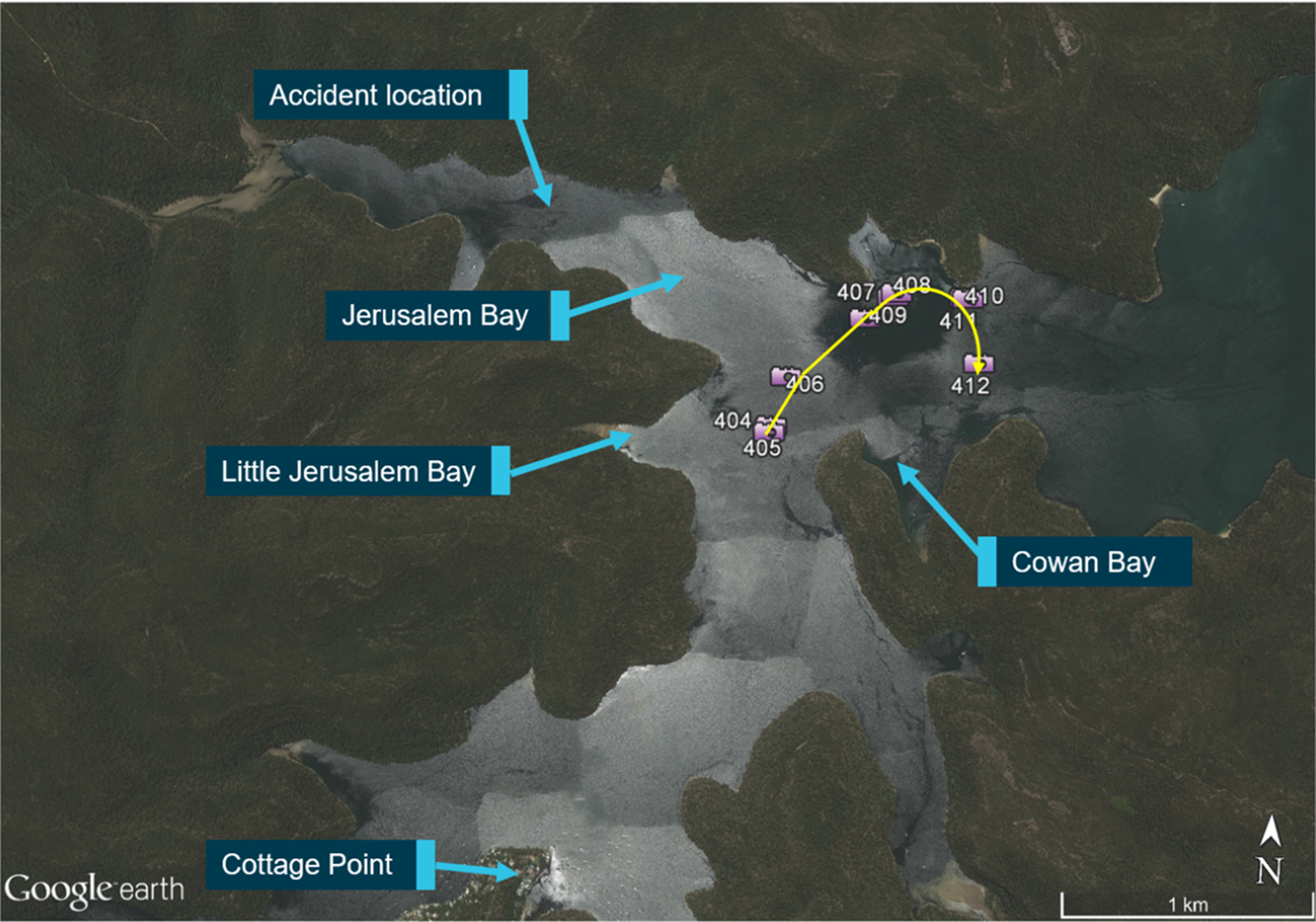 Estimated flight path derived from passenger images