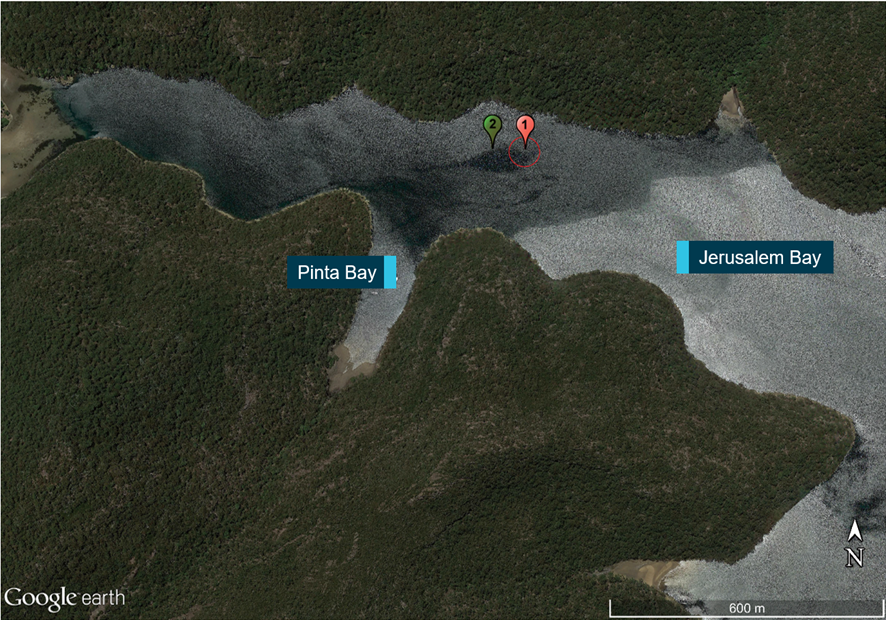 Location of the initial impact (circled) with the windscreen/left wing (1) and fuselage/tail/right wing floats (2) locations on the riverbed