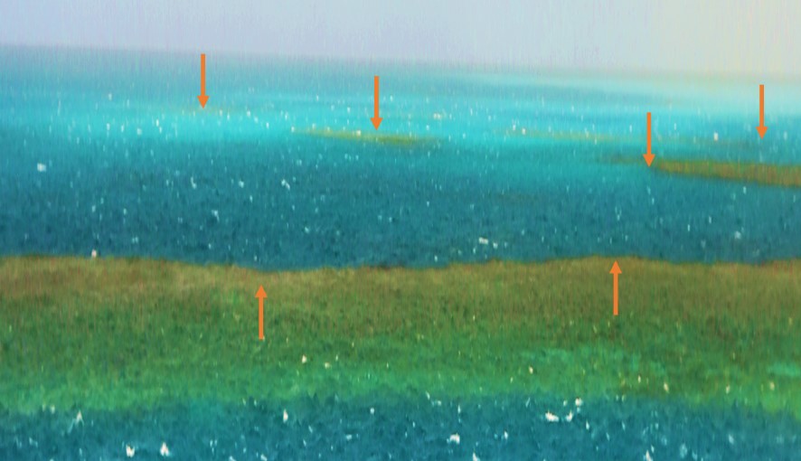 Figure A12: Vertically stretched and colour-enhanced portion of image 0621