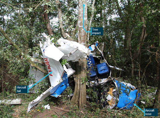 Aircraft main wreckage at the base of a large tree that was struck