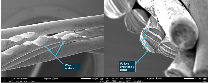 Figure 5: SEM images of the fractured cable identified severely worn wires (left) and fatigue crack progression bands from bending fatigue (right)