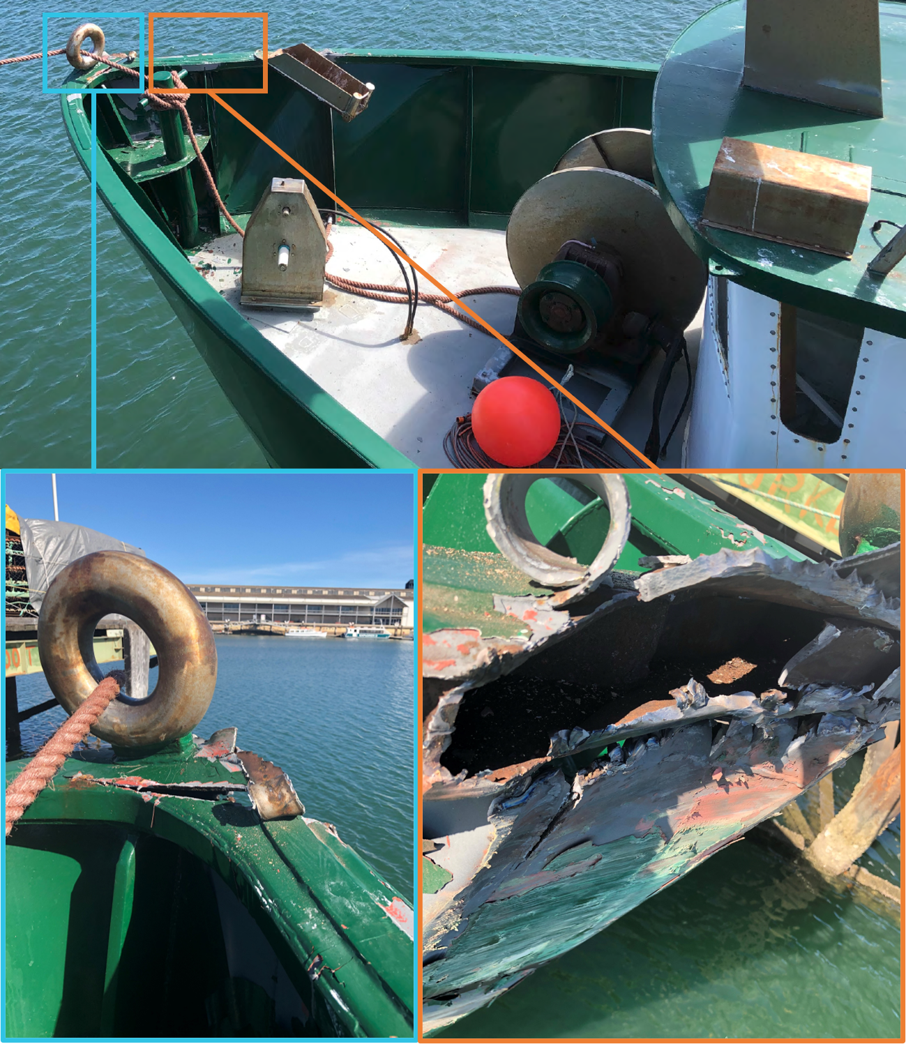 Figure 4: Damage to Sandgroper