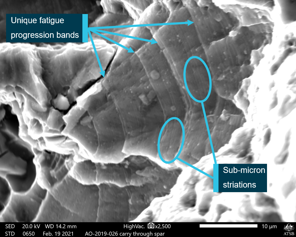 Figure 21: Scanning electron microscopy of the fracture surface