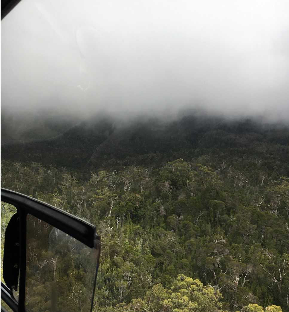 Figure 6: Photograph taken from the company helicopter in the vicinity of the accident location at about 1100