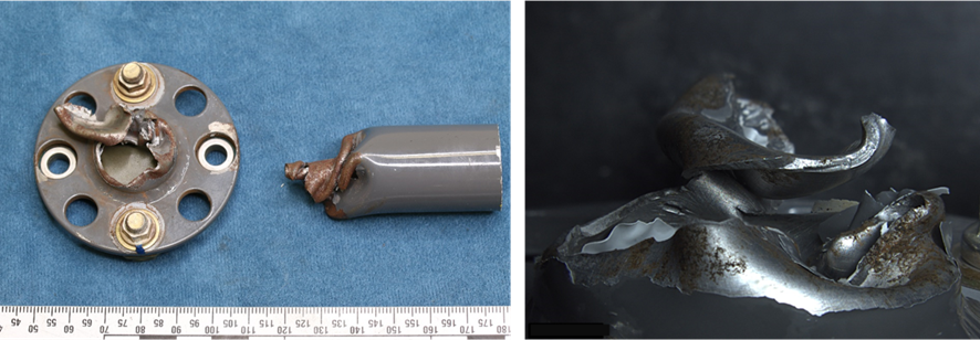 picture4-ao-2021-008.png