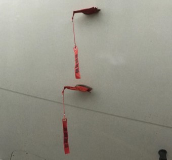 Figure 36: Airbus-approved pitot probe covers fitted to the left side pitot probes of an A330
