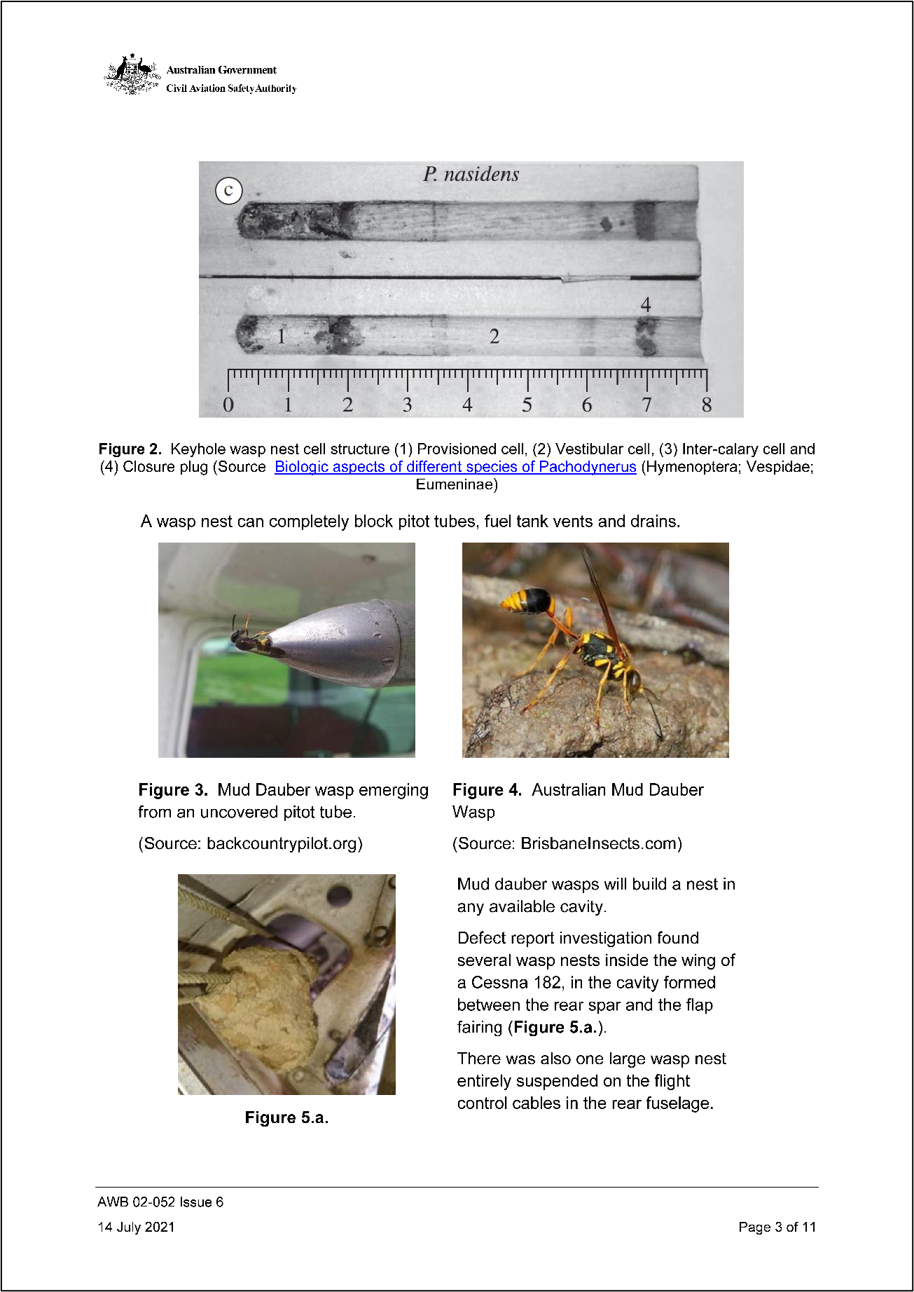Appendix A – Airworthiness bulletin AWB 02-052: Mud Wasp Infestation – Alert (Issue 6)