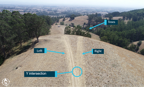 Figure 4: Runway strip Y intersection showing the left and right take-off options with the trees at the runway’s end