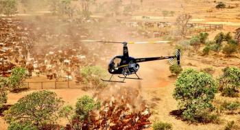 The incident aircraft.