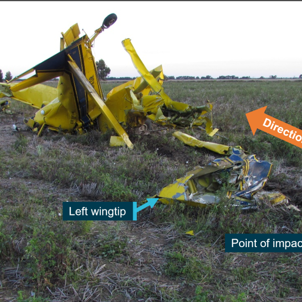 Large bird carcass found at Chinchilla aerial application aircraft accident site