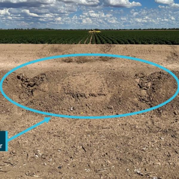 Wheel marks in the levee