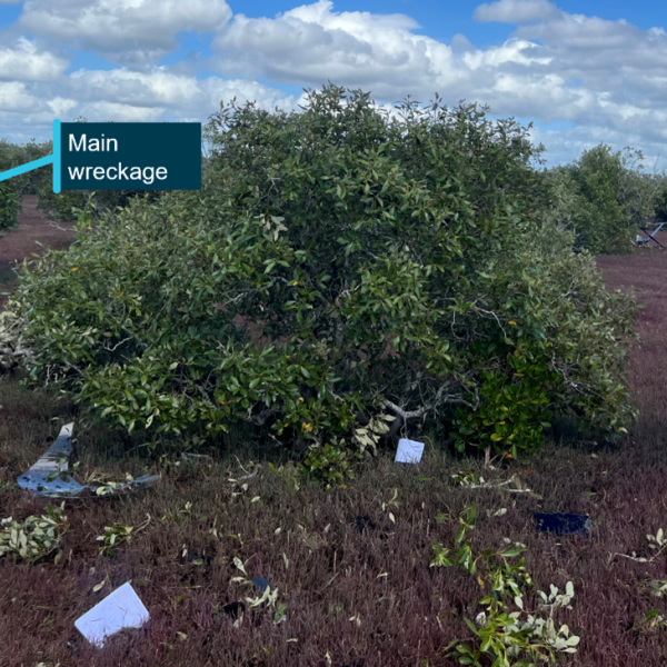 Photograph of main and tail rotor wreckage at accident site