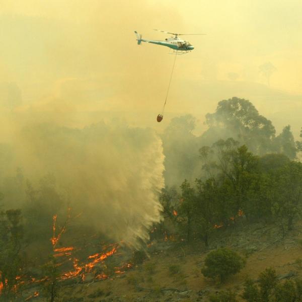 An aerial firefighting helicopter dropping water on a bushfire.