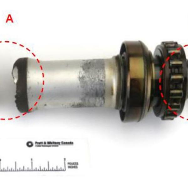ao-2019-060-cropped-version-2.jpg