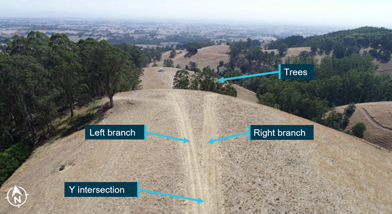 Runway strip ‘Y’ intersection showing the left and right branches with the trees at the runway’s end