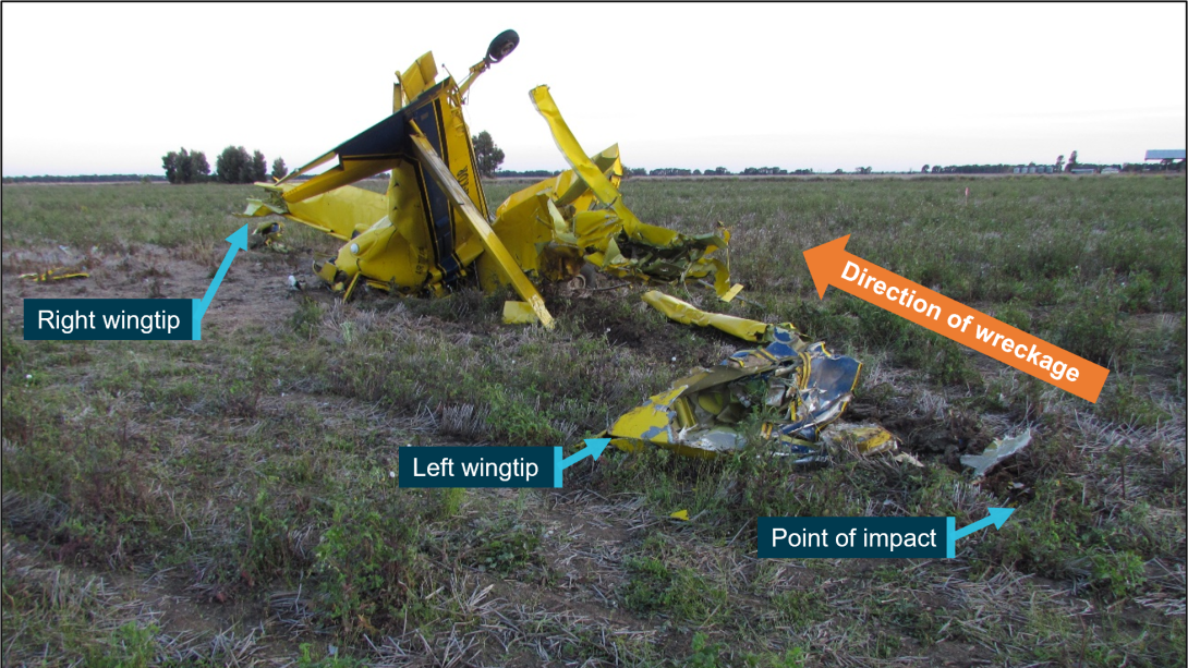Large bird carcass found at Chinchilla aerial application aircraft accident site