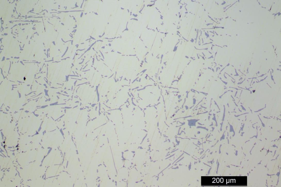 Figure 15: Microstructural cross section of unmodified A356, showing silicon eutectic (grey) in an aluminium matrix (white)