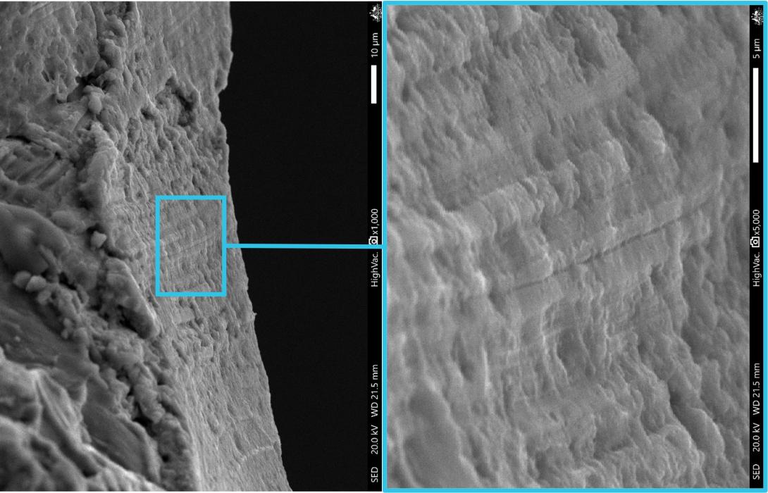 Figure 18: Discrete area of striations identified on the fracture surface