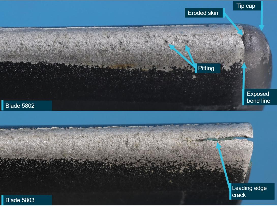 Figure 9: Tail rotor blade leading edges, showing paint loss, erosion and skin cracking
