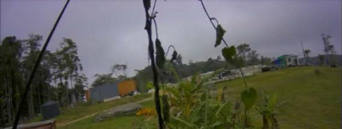 Figure 12: Closed circuit footage from Dalrymple Heights