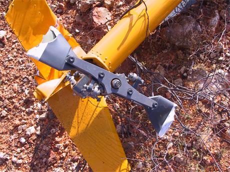 aair200401917_002.jpg