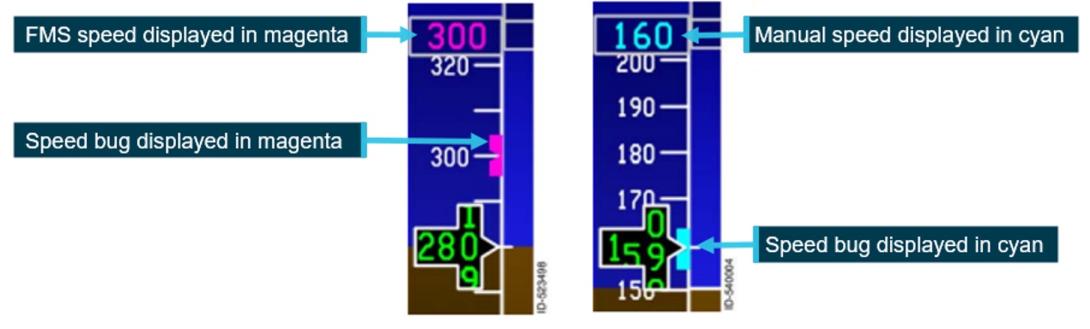 Figure 2: FMS and manual speed displays