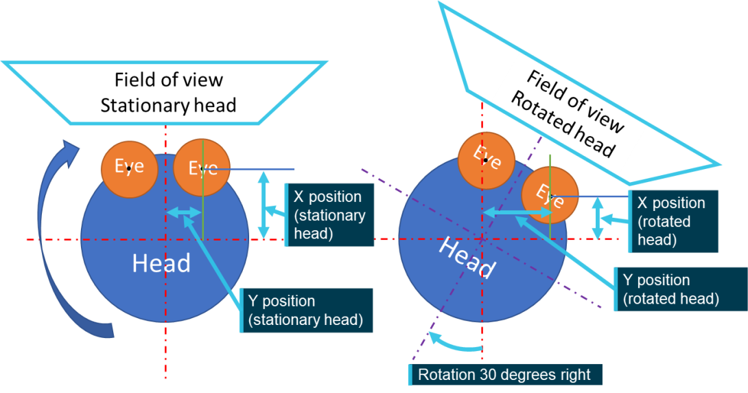 Figure 57: Example of eye position displacement due to a head rotation (top down view)